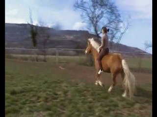Indy Elea liberté monté
