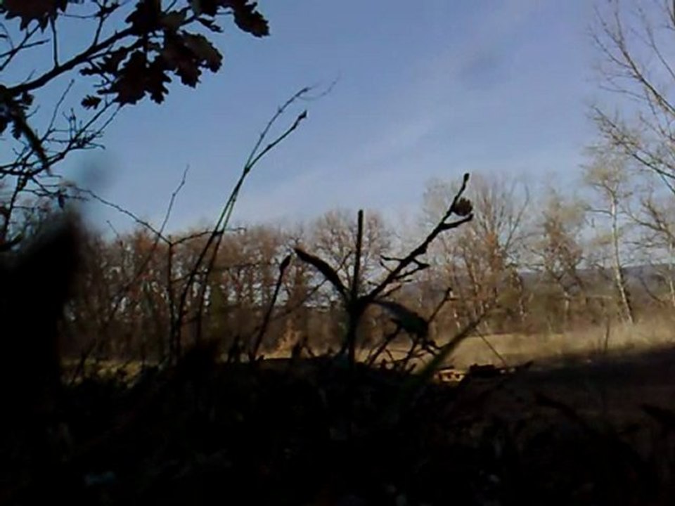 Dirt 150 appolo & 125 CRZ