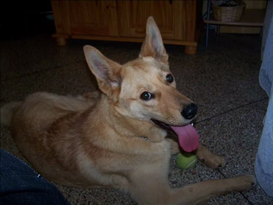 Noa