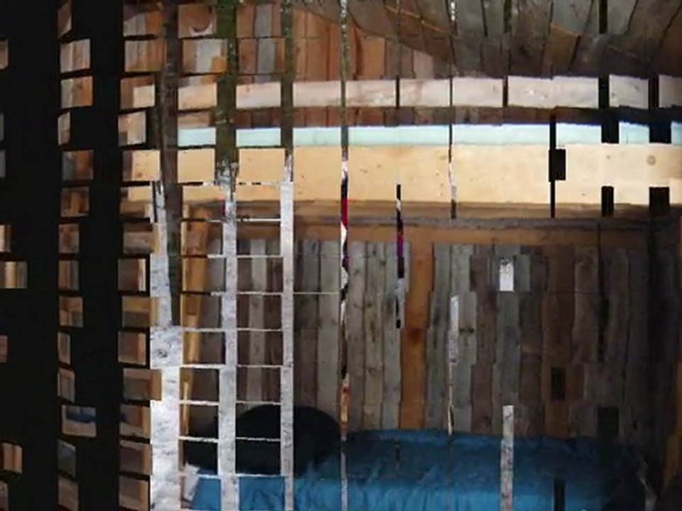 chiens de traineux 14 mars