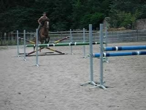 Saut d'obstacle chevaux 02