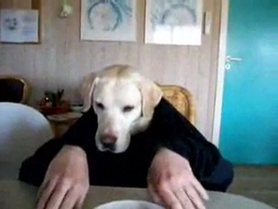 Dinner time