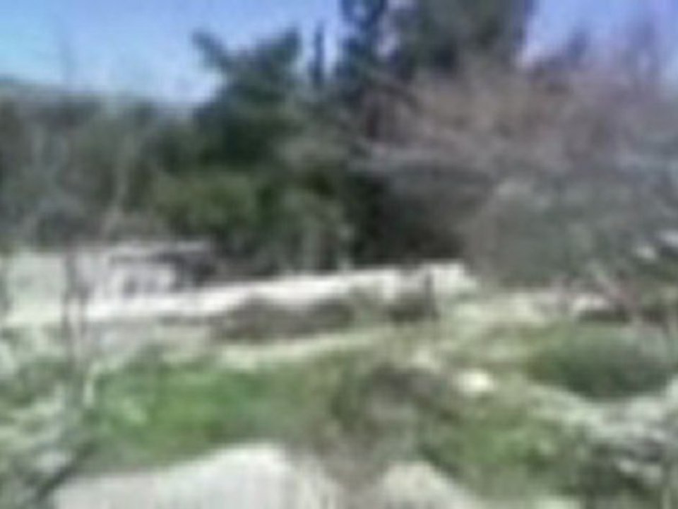 مريم عصيره