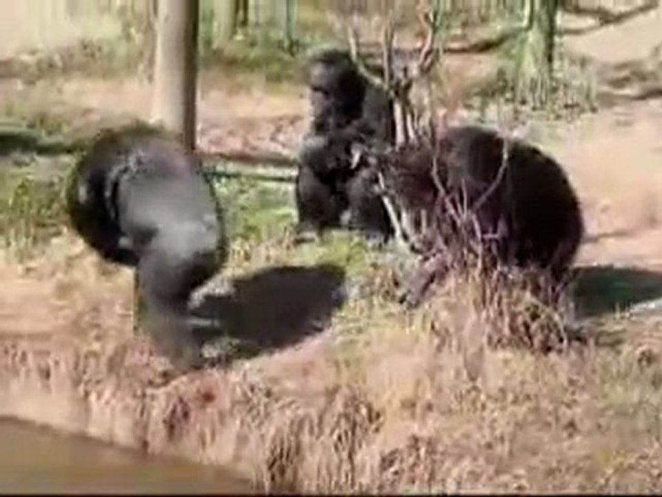 brothers are brothers