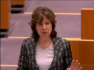 Diana Wallis on European Citizens Initiative
