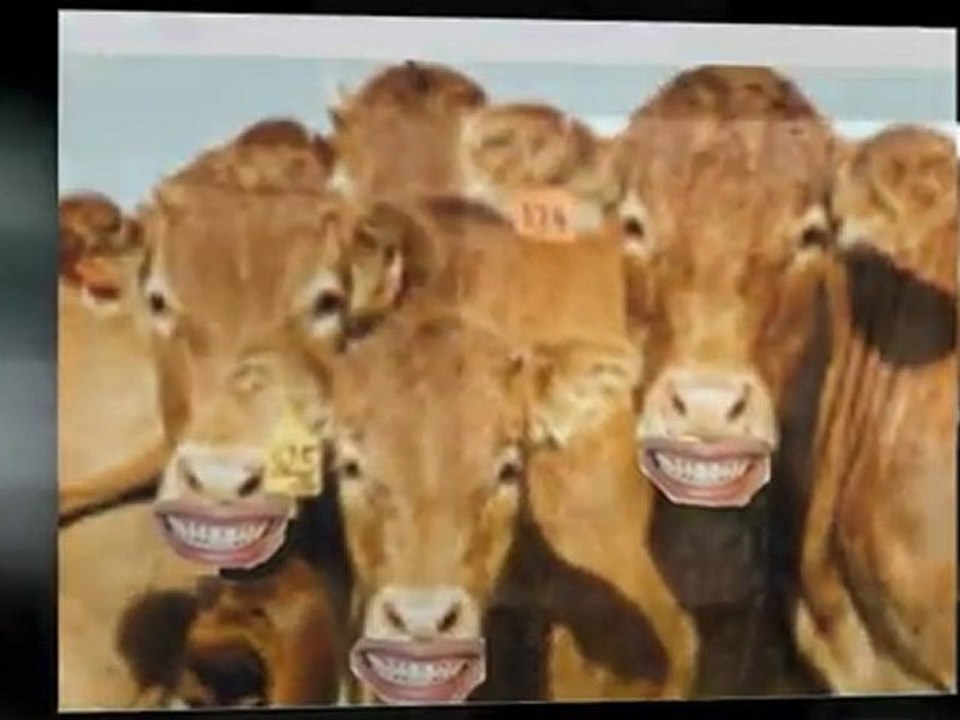 Dental Boise – Beautiful Smiles – Beautiful You