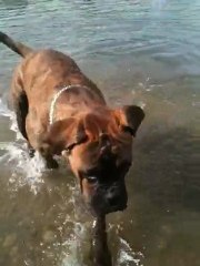 Easton aime l'eau enfin !