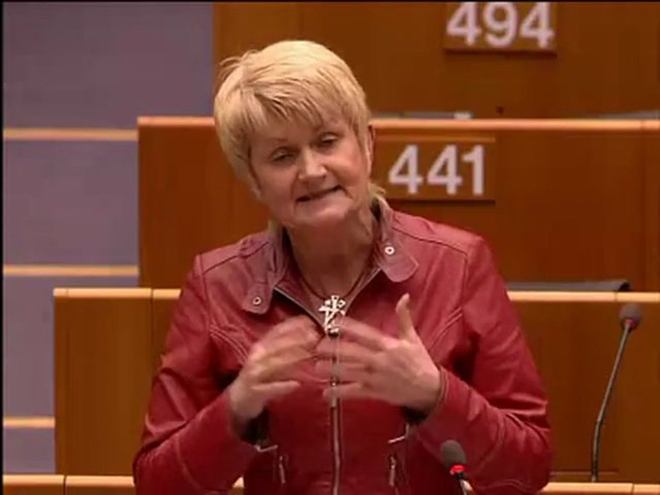 Marian Harkin on European Citizens Initiative