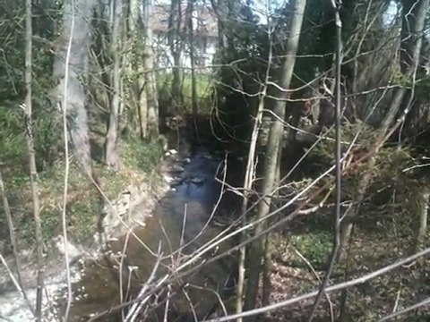 C'est ça que j'aime , la nature tout simplement...