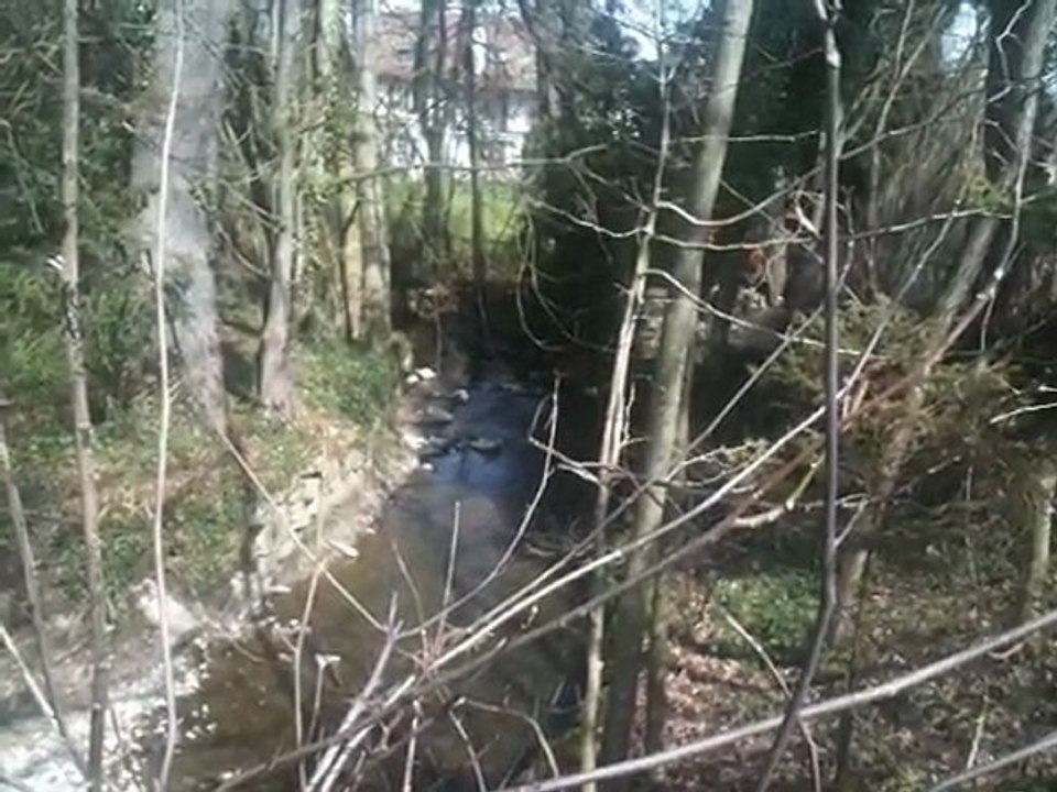 "C'est ça que j'aime , la nature tout simplement..."