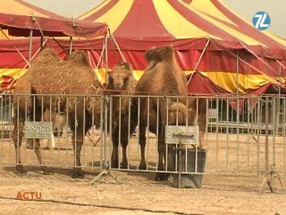 Pinder va t-il perdre ses éléphants ?