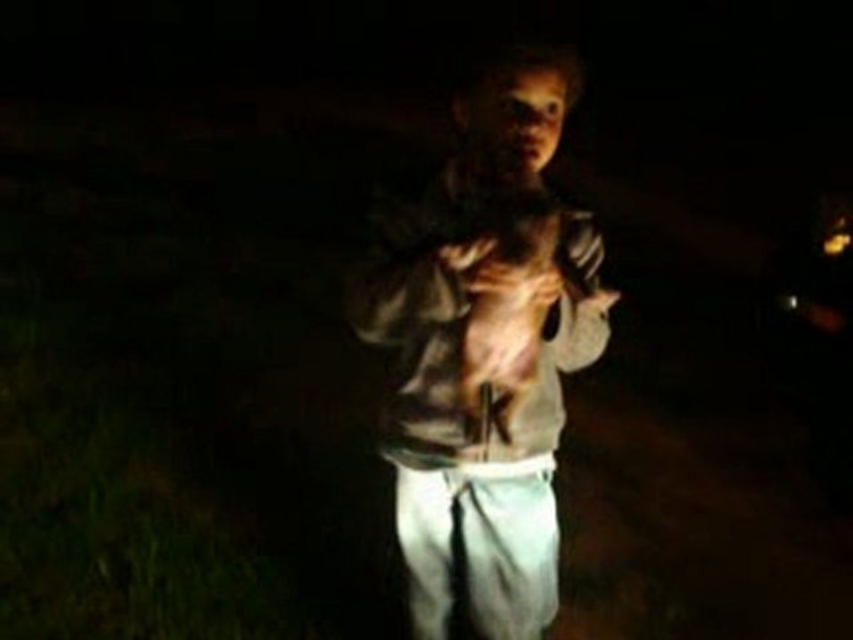 Triston The Coolest One, Puppy And An Accident, Watch Ending