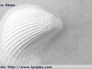 A leading Dotcom Company looking for Ad Sales guys