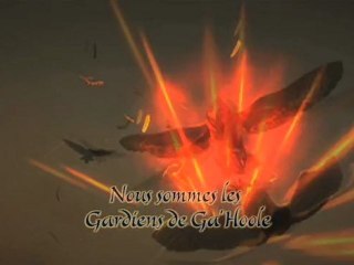 Le Royaume de Ga Hoole : la legende des gardiens - Trailer