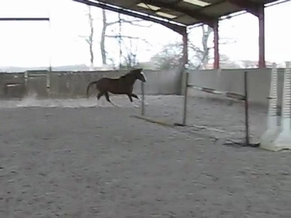 Sir windsor obstacle 2