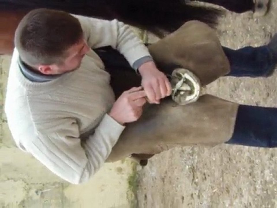 Ténor et le MF 2