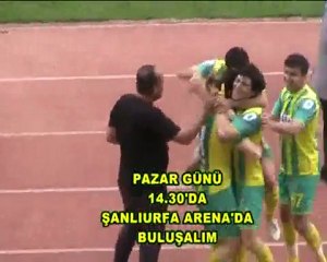 Her Taraf Sarı,Her Taraf Yeşil ŞampiyonUrfa www.urfaspor.org