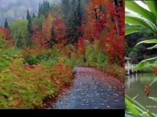 SENSiZLiK iHANET   ( Siir )   K.Kurultay  -kisra-