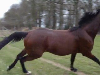 Ténor se sent plus léger les patounes à l'air