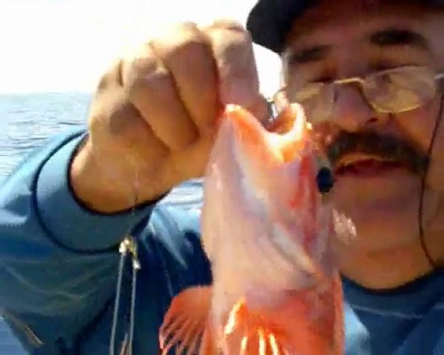 DERİN SUDA BİR AV GÜNÜ