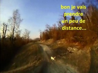 Mon filmdu 16 mars avec ma ptite chienne DUNE