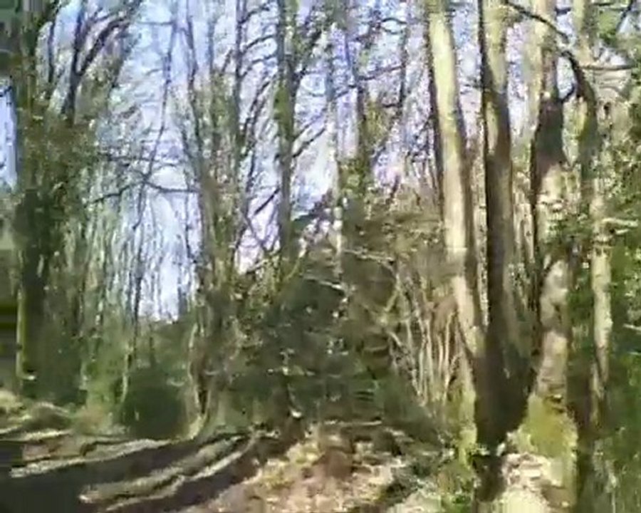 Video Circuit 12 H VTT L'HERMINE SAINT MARTINOISE