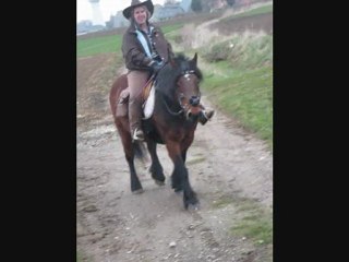 une balade déjantée