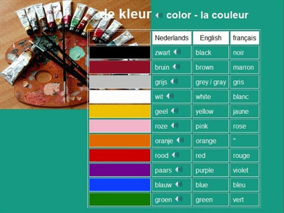 Nederlands - learn Dutch language vocabulary - colors