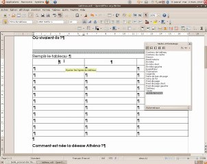 OpenOffice Traitement de texte réaliser un questionnaire