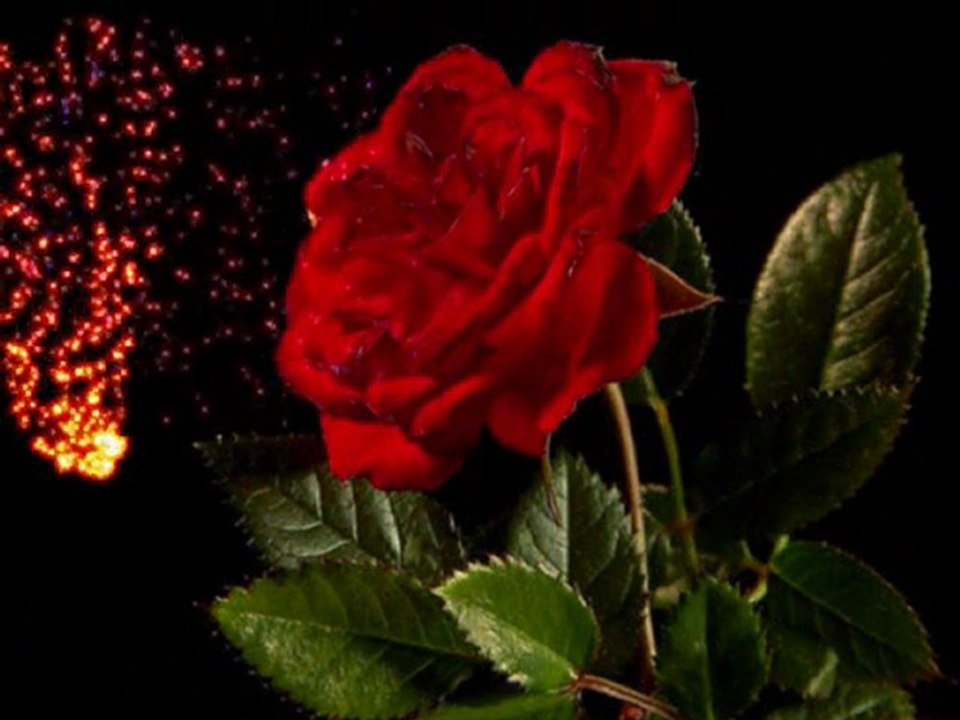 Lhoussaine Amrrakchi "waaboutayri"