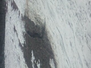 gamelle cédric luge