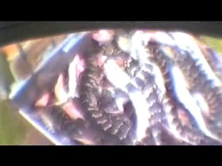 Joaquin Phoenix Reveals Exotic-Skins Horrors