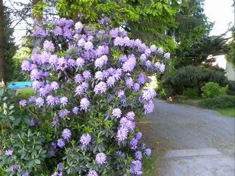 Diaporama de l'année 2009 - 14ème partie