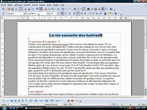 Traitement Texte 2.1 Mise en forme de caractères
