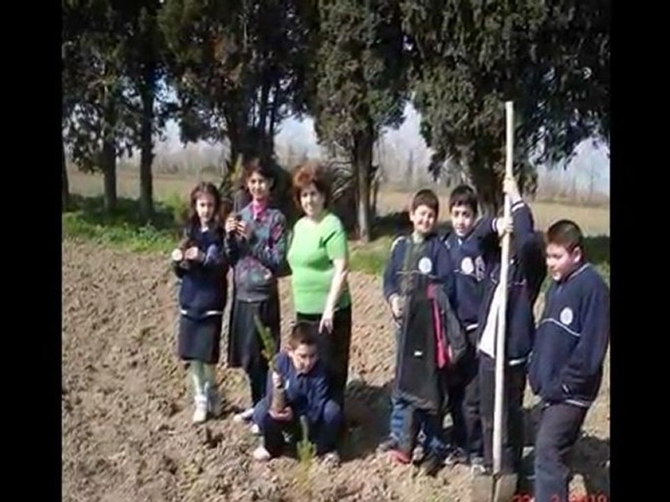 Bafra Merkez İlköğretim Okulu Orman Haftası 2010