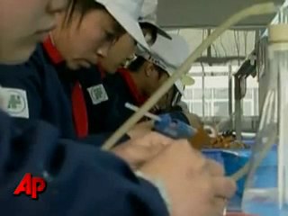 E Cigarettes: Will You Want to Try it?