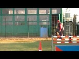 entrainement ring  rogeville