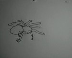 Anim Araignée Test