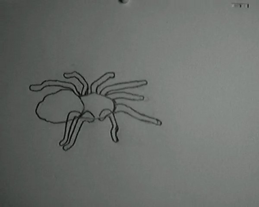 Anim Araignée Test