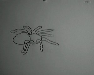 Anim Araignée Test