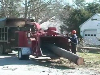 Cape Cod Tree Service