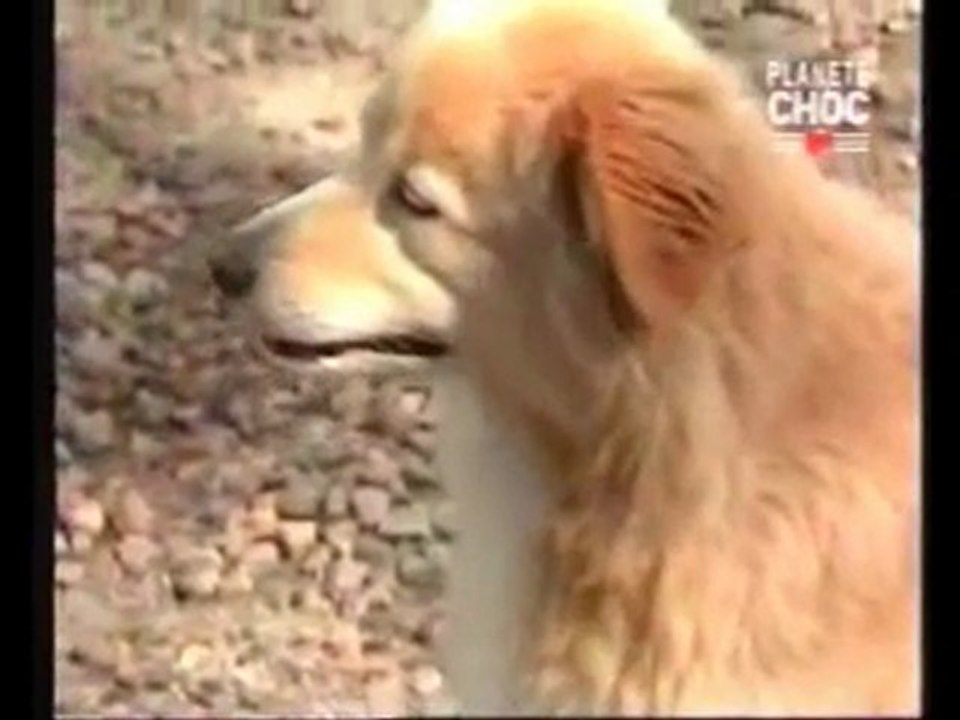 Poltergeist, fantômes et phénomènes paranormaux 3