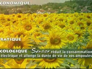 Base sensor, détecteur de présence infrarouge