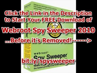 Download Webroot Spy Sweeper!?