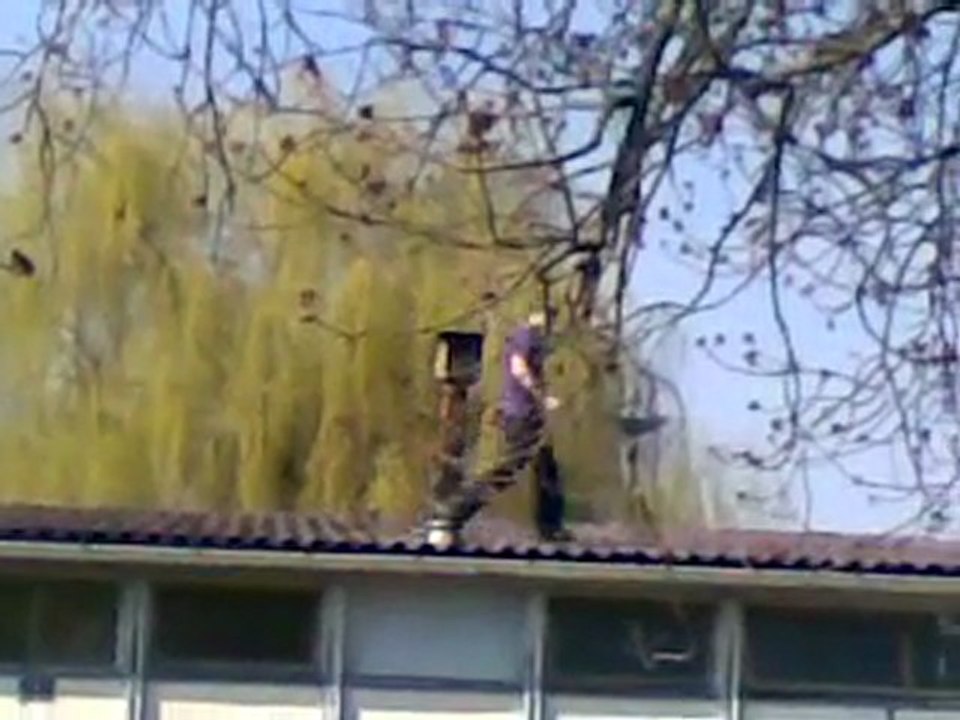Ball on the roof