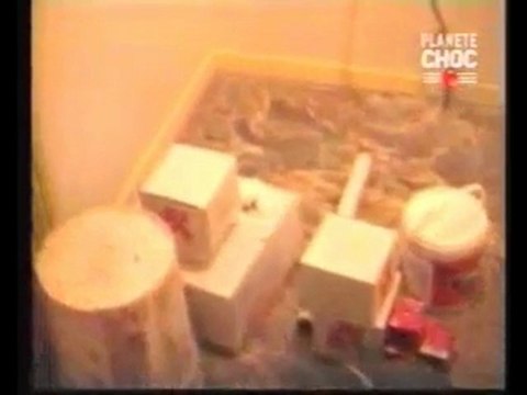 Poltergeist, fantômes et phénomènes paranormaux 1