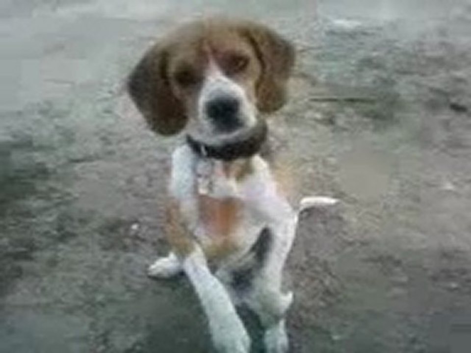 Vidéo-0007