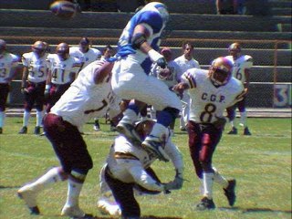 Borregos Chihuahua Intermedia