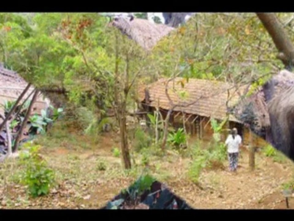 Travel To Care Hotel Bhakti Kutir Palolem Goa India