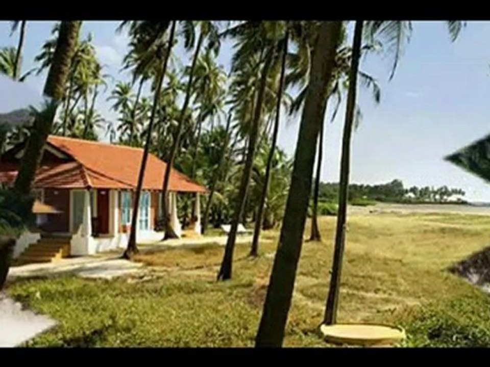 Travel To Care Hotel Elsewhere Mandrem Goa India